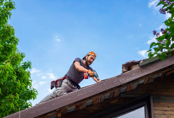 Best Chimney Flashing Repair  in Comstock Northwest, MI
